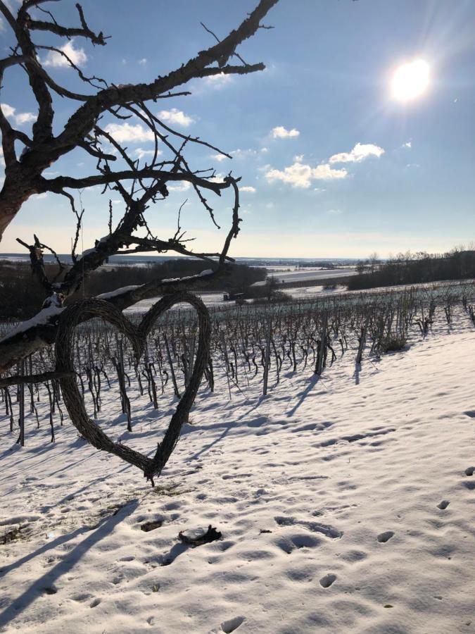Wein Kellerstöckl Eisenberg an der Pinka